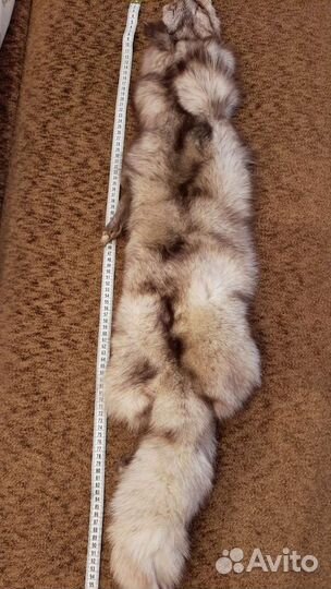 Шкурка песца