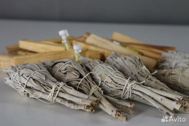 Шалфей Калифорнийский от 20шт опт для Вайлберис