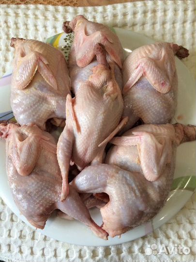 Продаю мясо перепелов