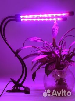 Фитолампа с двумя светильниками