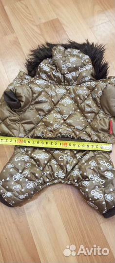 Одежда для собак мелких пород