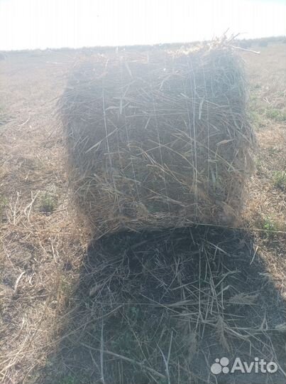 Сено в рулонах