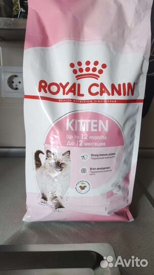 Сухой корм для котят