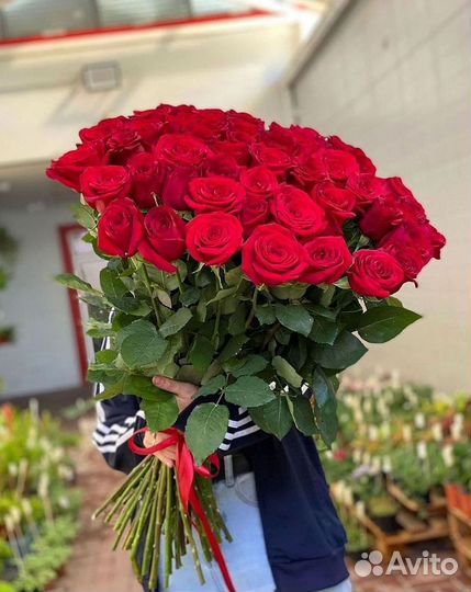 Высокие розы Гигантские Розы 150 160 170 180 190см