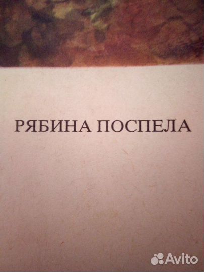 Плакат картина фауна СССР 1976год