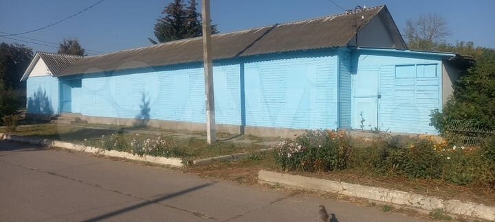 Торговая площадь, 230 м²