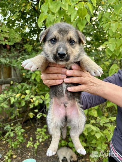 Малыш в добрые ручки