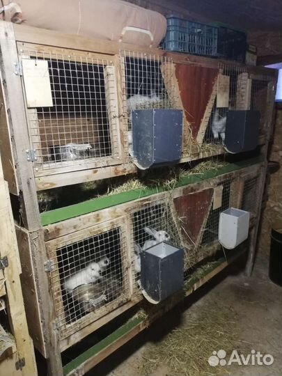 Клетки для кроликов
