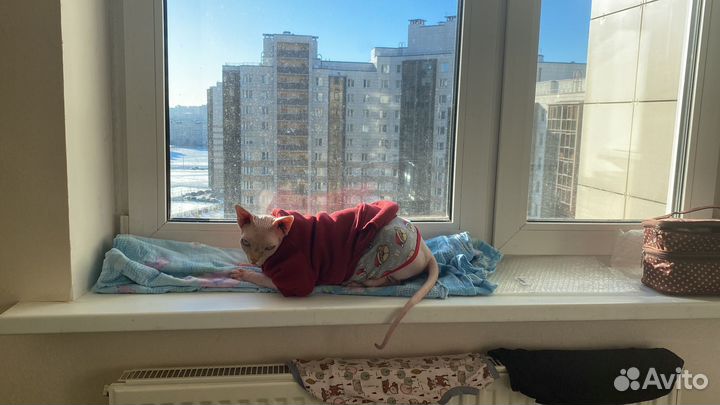 Продам пластиковое окно бу