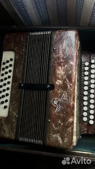 Гармонь Кубань