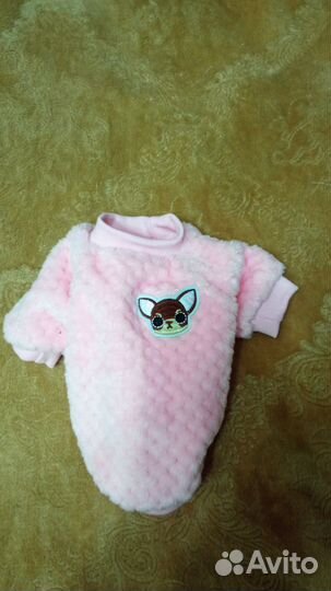 Одежда для маленьких собак