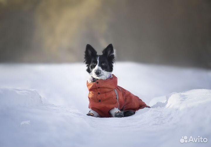 Фотоаппарат canon eos 4000d