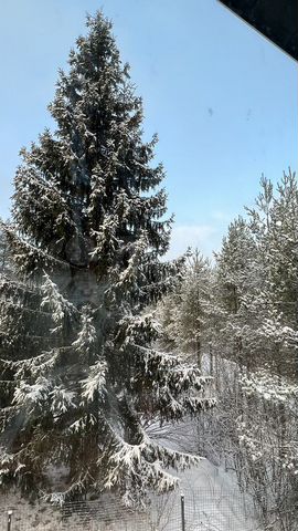 Участок 10 сот. (СНТ, ДНП)