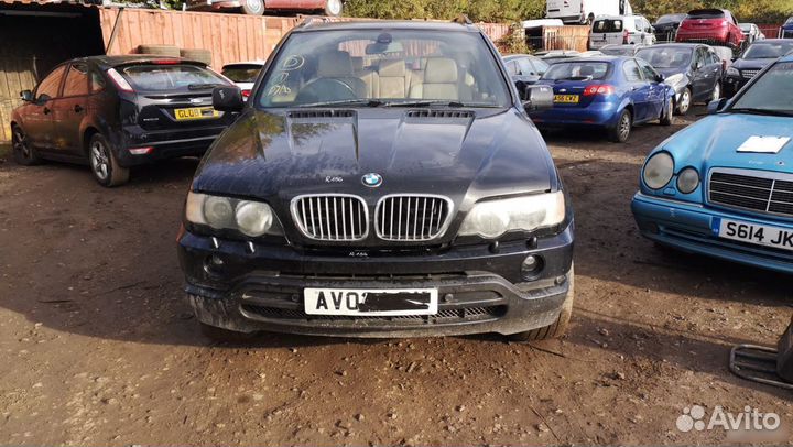 Щуп BMW X5 E53 M62B44