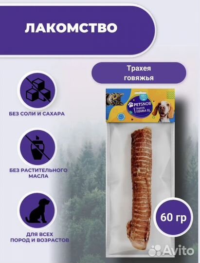 Корм для кошек и собак оптом