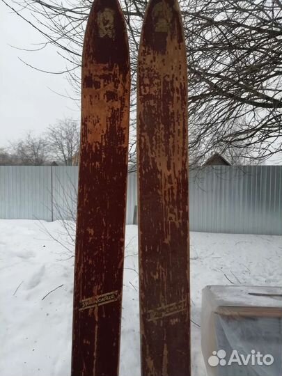 Лыжы для рыбалки и охоты