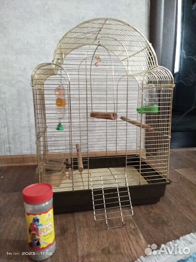 Клетка для среднего попугая