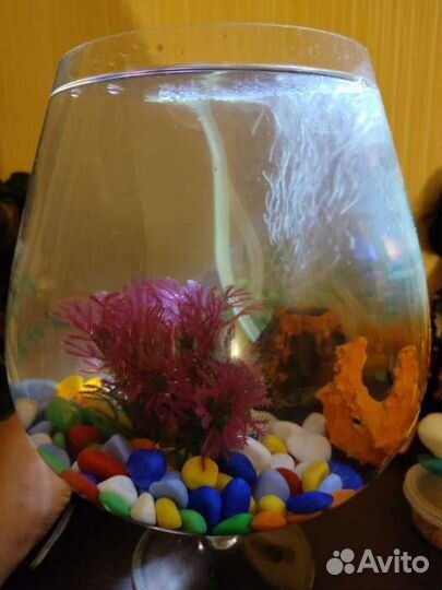 Грунт для аквариума галька цветная