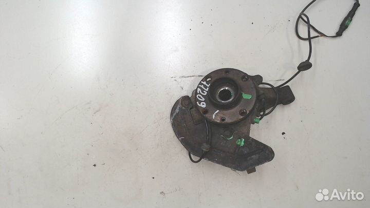 Ступица (кулак, цапфа) Fiat Doblo, 2007