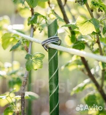 Колышки для растений