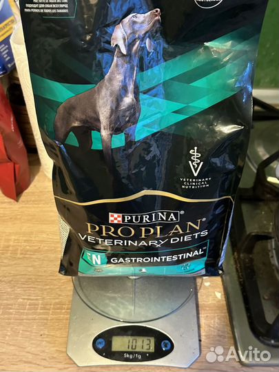 Сухие корма для собак