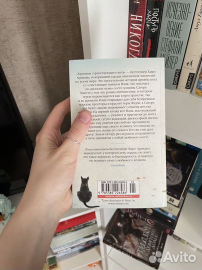 Хроники странствующего кота - Хиро Арикава