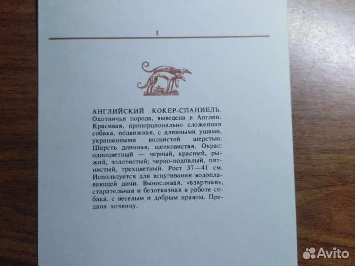 Наборы открыток Собаки и виды Тулы