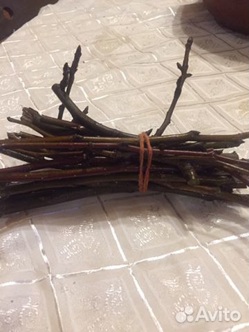 Веточки яблони для грызунов