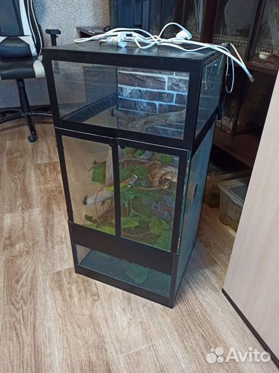 Террариум для рептилий