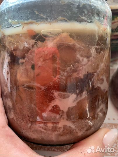 Домашняя тушенка