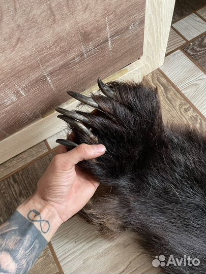 Шкура медведя имитация