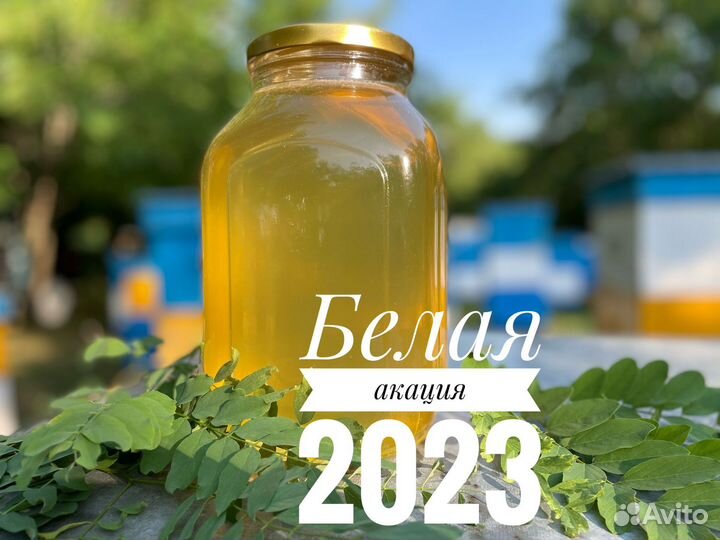 Мед белая акация 3л 2023 с доставкой бесплатно