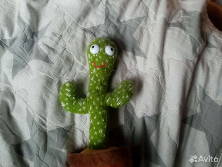 Поющий кактус