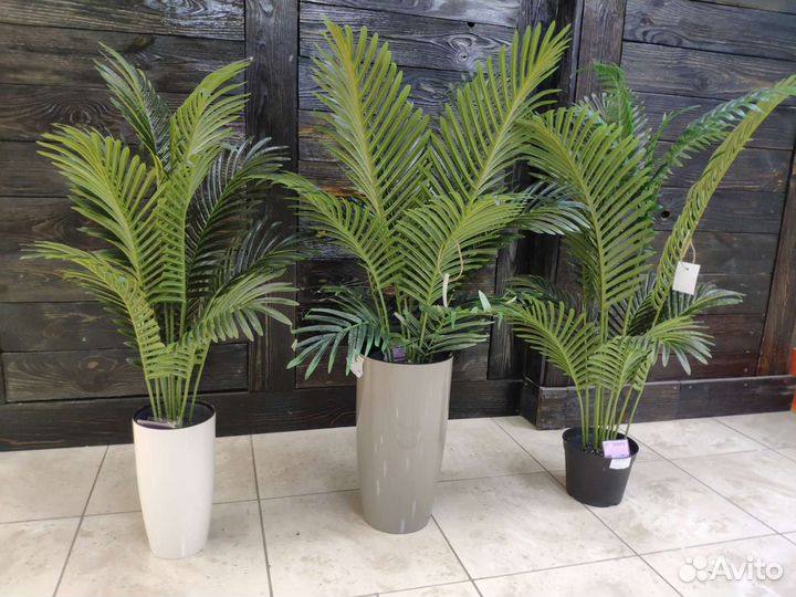 Пальма искусственная Ховея Кентия