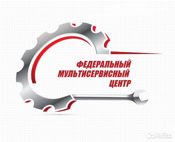 Распространитель-промоутер с ежедневными выплатами