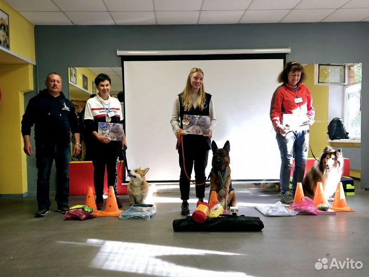 Дрессировка и воспитание собак, ноузворк