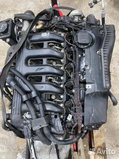 Двигатель M57D30(306D2) BMW X5 E53 рест. E53 2005г