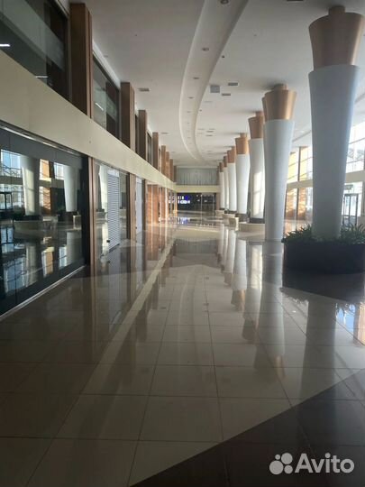 100 долей ооо «Гинза»