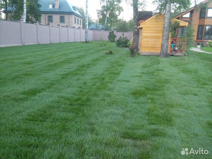 Автополив/Рулонный газон