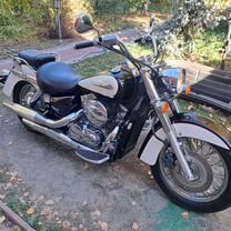 1100 honda shadow for sale hotsell