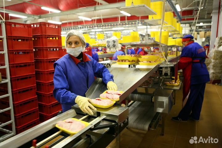 Упаковщик на фабрику