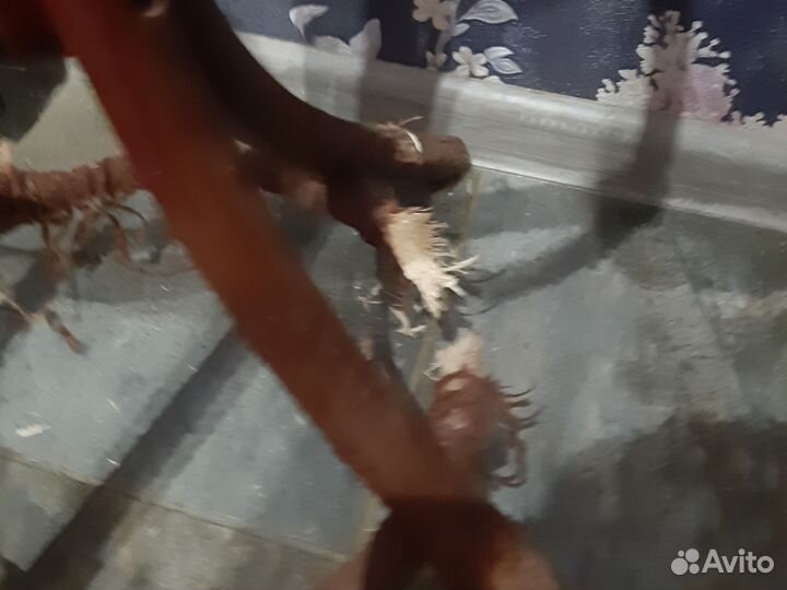 Вешалка напольная деревянная