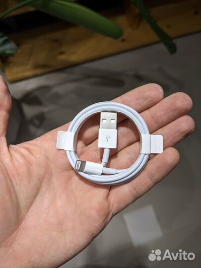 Lightning to USB Cable (1 m) original