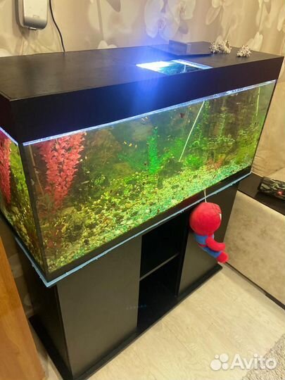 Аквариум с тумбой и рыбками