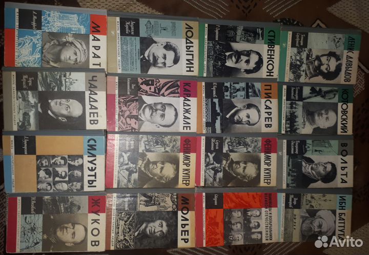 Серия книг жзл(Жизнь замечательных людей)