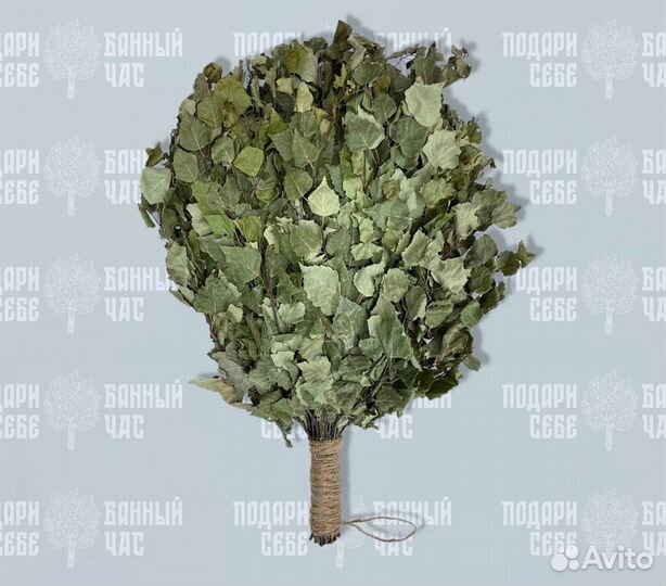 Березовые веники для бани