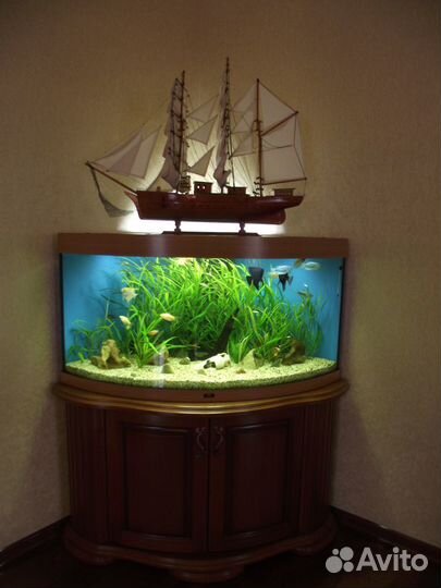 Обслуживание Аквариума Чистка