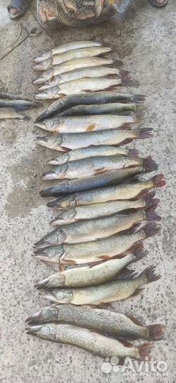 Рыбалка, охота и отдых