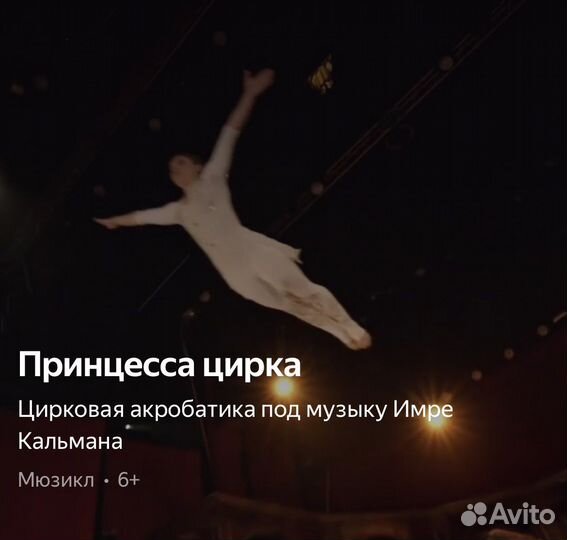 Билеты 1/2 Принцесса цирка Театр Мюзикла