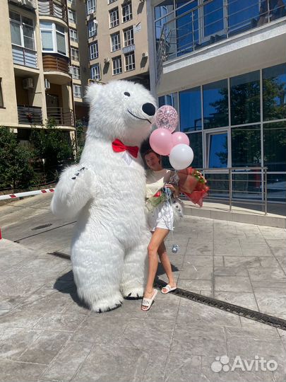 Белый медведь/Большой белый мишка/аниматор